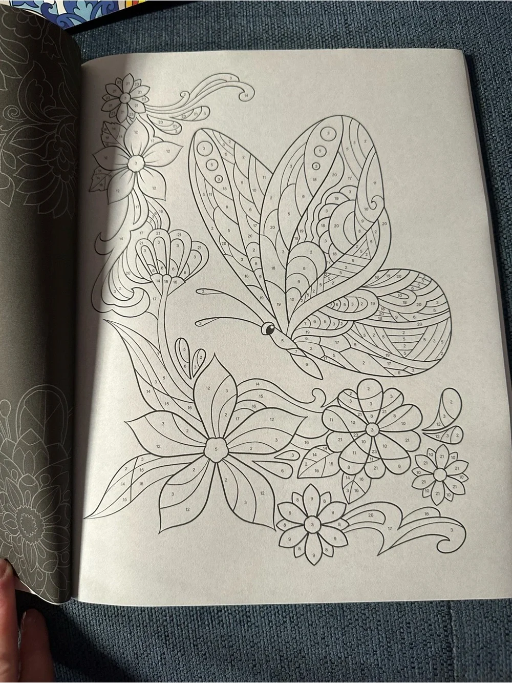 Color By Number Set of 2 Adult Coloring Books